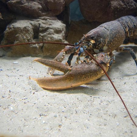 乌马格 帕罗姆巴罗旅馆酒店 外观 照片